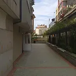 8 8 *